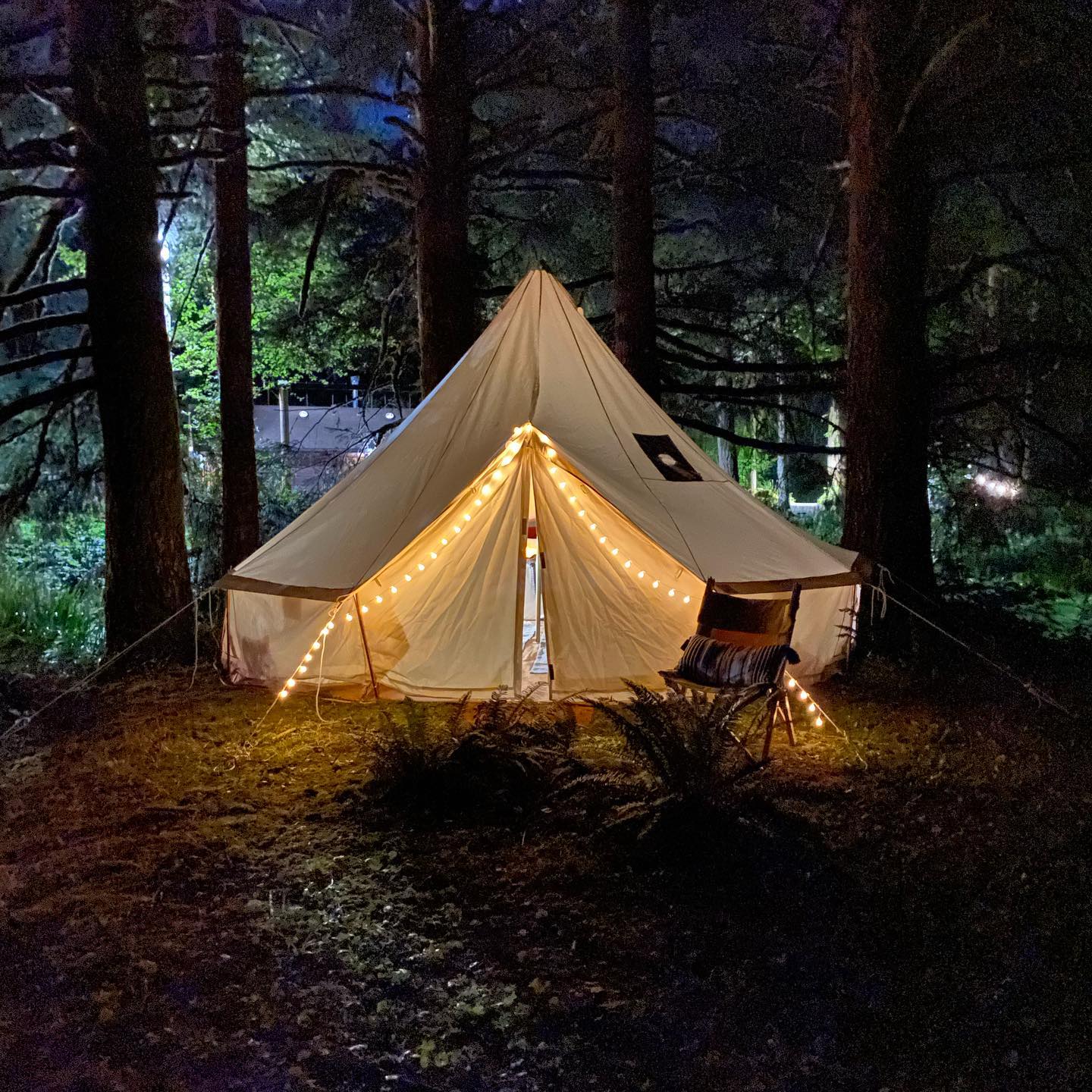 A lit-up canvas tent with string lights stands among tall trees at night, with a chair placed outside on the forest floor.